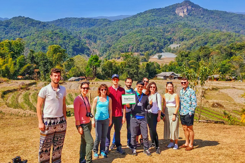 De Chiang Mai: Viagem de 1 dia ao Parque Nacional Doi InthanonExcursão para grupos pequenos com taxas de entrada e embarque no hotel