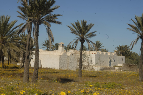 Uma maneira diferente de visitar Djerba e o deserto em 3 dias