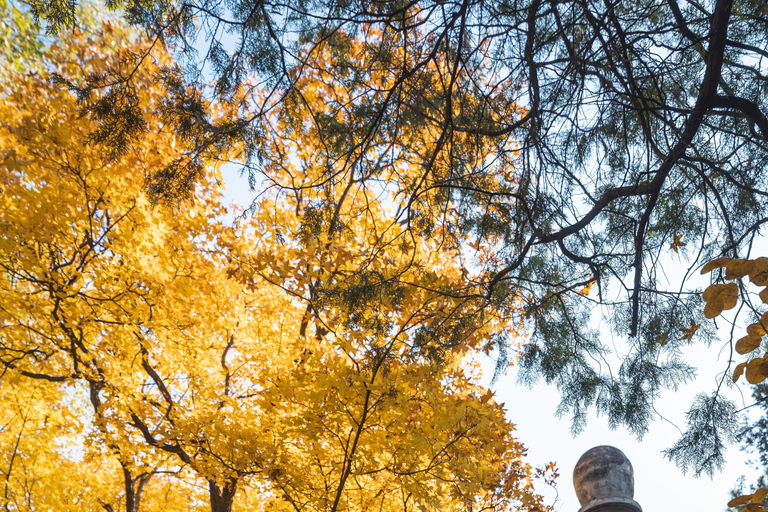Pekin: Wycieczka piesza z przewodnikiem po kampusie Uniwersytetu Pekińskiego