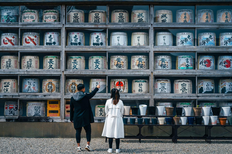 Guided Wakayama Heritage & Forest Trails with Hotel Pickup