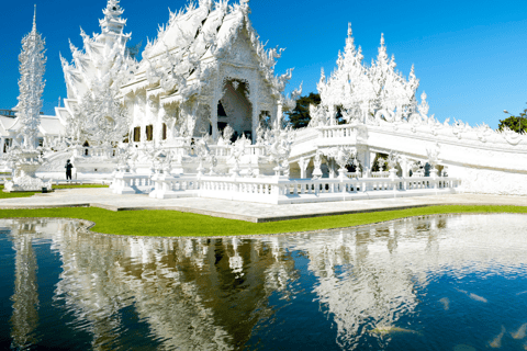 Chiang Mai: Excursão às plantações de chá de Chiang Rai e Doi Mae Salong