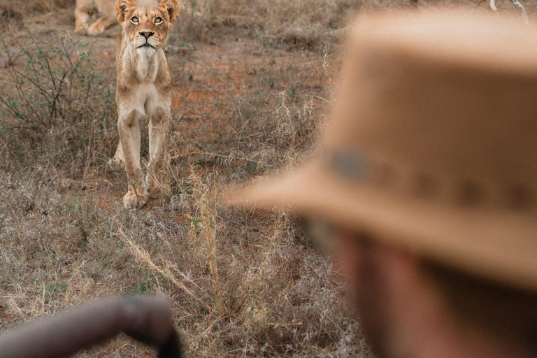 4 Days Private Midrange Safari from Zanzibar with Flights