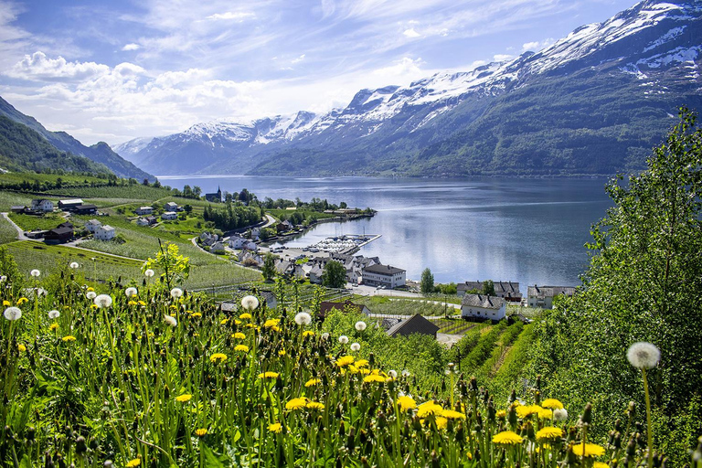 Scenic Hardanger Fjord, Waterfalls, and Orchards Day Trip