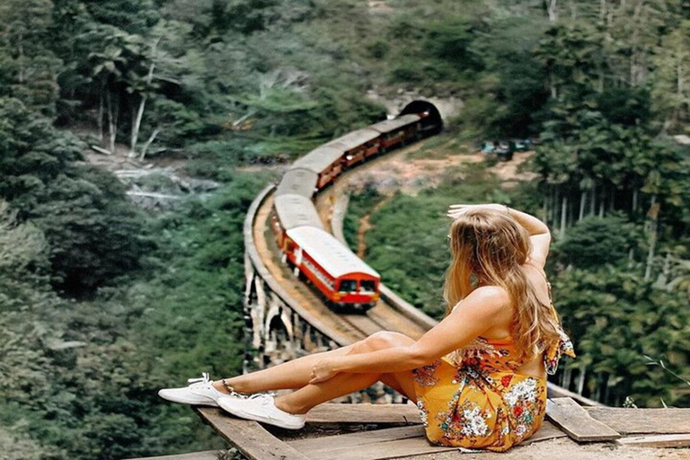 Ella: All-Inclusive 5 Icons Tour with Train Ride