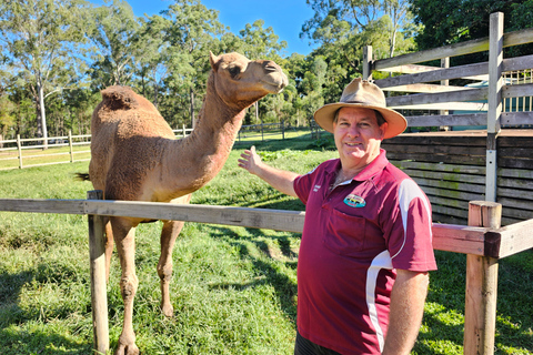 From Brisbane: White Ridge Farm - Animal Farm