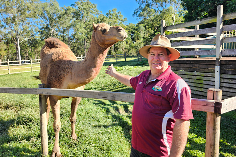 From Brisbane: White Ridge Farm - Animal Farm