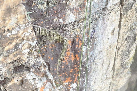Bogotá: Choachí Rock Climbing and Hiking Tour Basic Climbing and Hiking Tour
