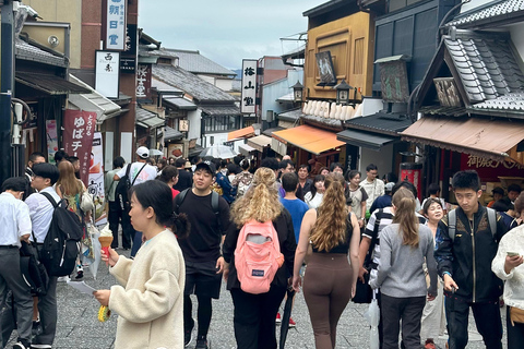 Kyoto, Nara och Osaka: Privat skräddarsydd rundtur