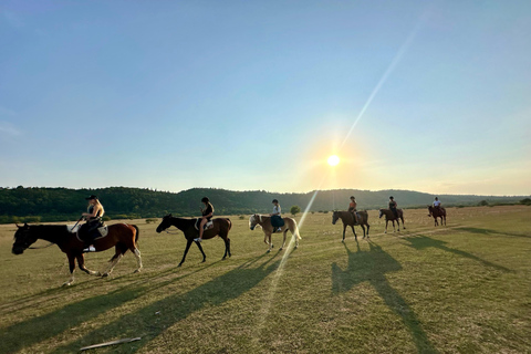 دوبروفنيك: ركوب الخيل عند غروب الشمس مع خدمة النقلSUNSET HORSEBACK RIDE NEAR DUBROVNIK WITHOUT TRANSPORT