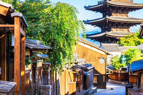 1-Day Kyoto Nara Tour, Cute Deer Tour Classic Panorama Tour