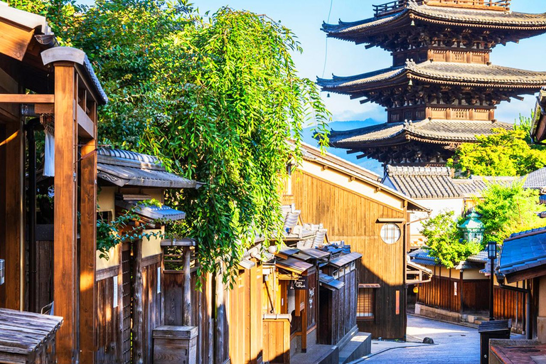 Kyoto/Osaka: Viagem de 1 dia a Kyoto e Nara, locais e história da UNESCO