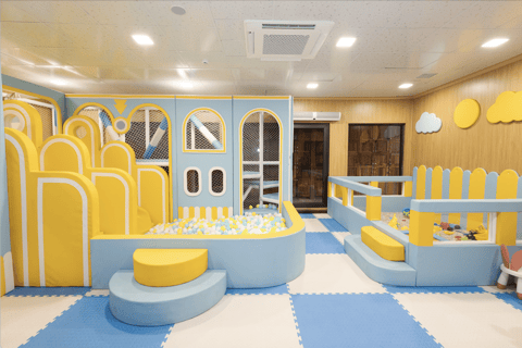 Hanoi: Dolphin 5-Star Family Cruise & Buffet in Ha Long Bay With Pick-up and Drop-off