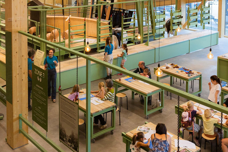 Eindhoven: Museumpark VONK Entry Ticket