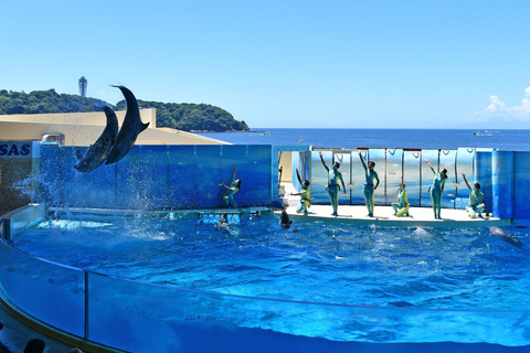 Acquario di Enoshima: Biglietto d&#039;ingresso