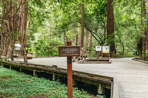 São Francisco: Tour em pequenos grupos por Muir Woods e SausalitoDe São Francisco: Muir Woods e Sausalito Small Group Tour