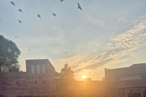 Rundgänge durch die blaue Stadt – Jodhpur