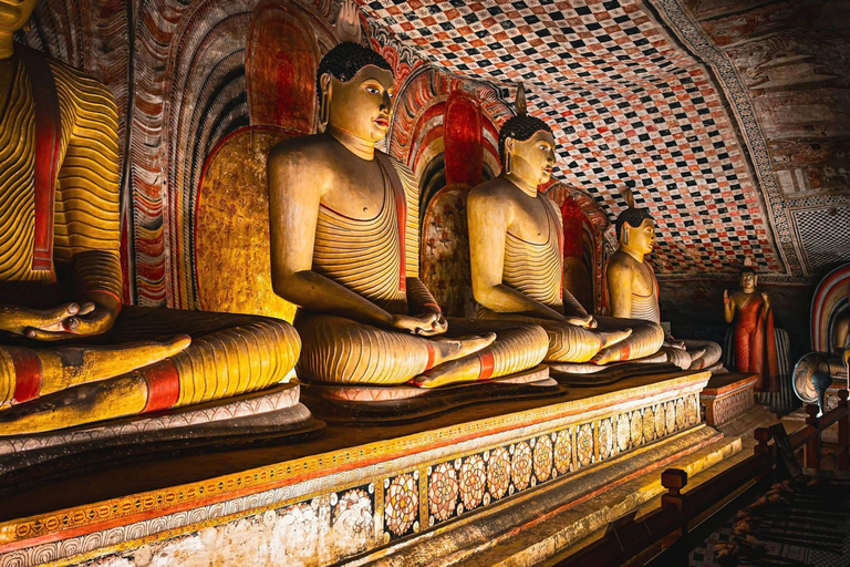 Kandy: Sigiriya, Dambulla & Village Safari Tuk Tuk Tour