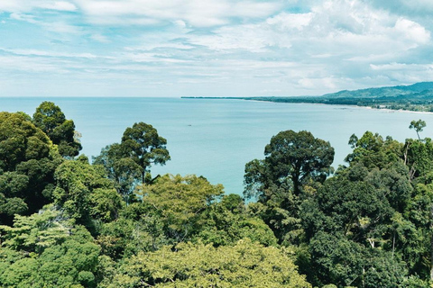 Khao Lak : excursion combinée « Éléphants éthiques et tyrolienne »