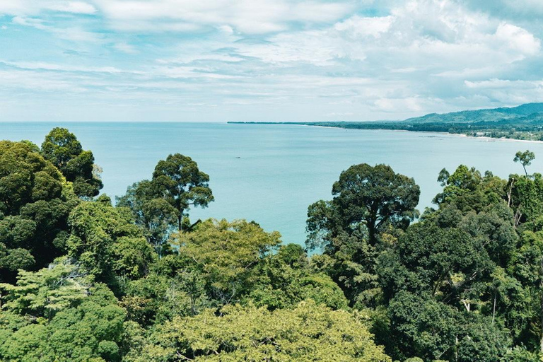Khao Lak : excursion combinée « Éléphants éthiques et tyrolienne »