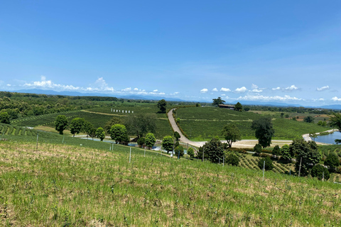 JOIN TOUR 1 day trip around Chiang Rai included lunch buffet