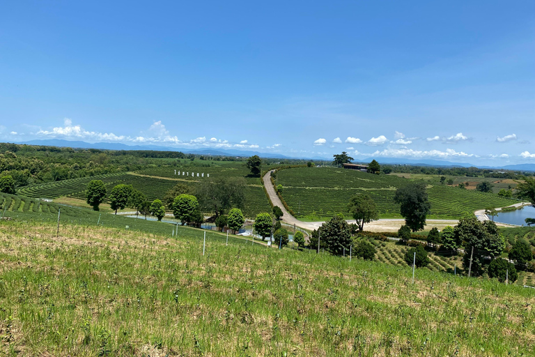 JOIN TOUR 1 day trip around Chiang Rai included lunch buffet