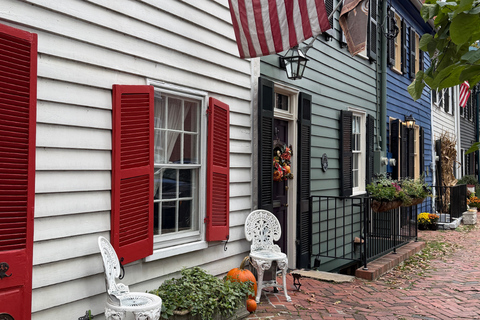 Old Town Alexandria (ingresso a Gadsby Tavern e Christ Church)Città vecchia di Alessandria: tour guidato a piedi con una guida locale