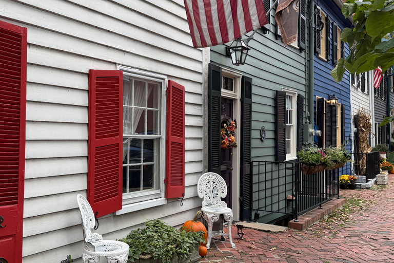 Old Town Alexandria (ingresso a Gadsby Tavern e Christ Church)Città vecchia di Alessandria: tour guidato a piedi con una guida locale