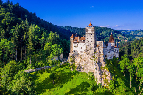 Tour di 1 giorno di 3 castelli: Castello di Dracula e Mercoledì, PelesDa Bucarest: Tour di Cantacuzino, Bran e del Castello di Peles