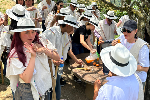 Coffee and Exotic Fruit Tour from Medellín with Lunch Coffee and Exotic Fruit Tour from Medellín with Lunch.