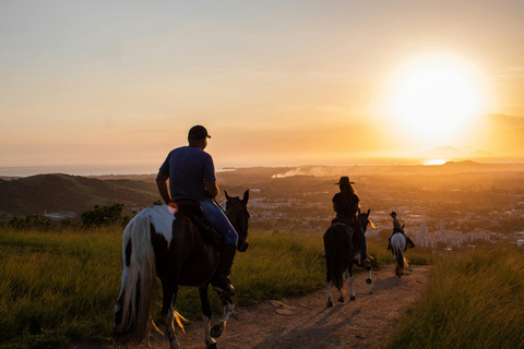 Aruba: Sunrise Coast & Desert Horseback Ride with Pickup