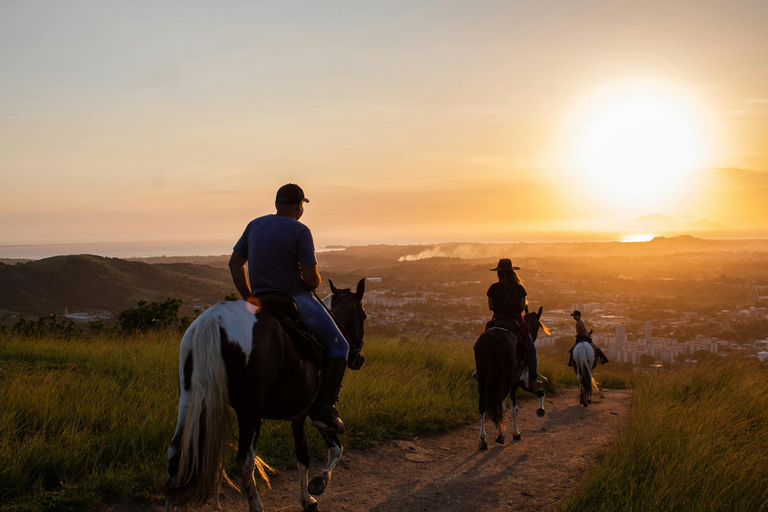 Aruba: Sunrise Coast & Desert Horseback Ride with Pickup