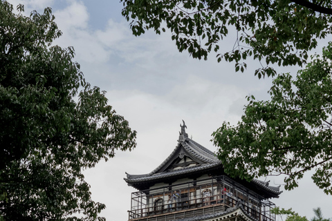 Tokyo: Tour privato di un giorno con autista in inglese