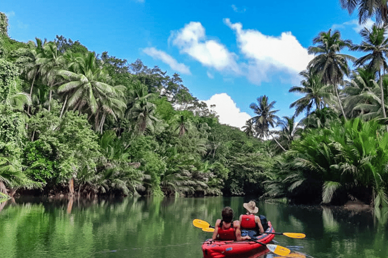 Bohol: SUSTAINABLE Mangrove Tunnels & Firefly Kayaking trail