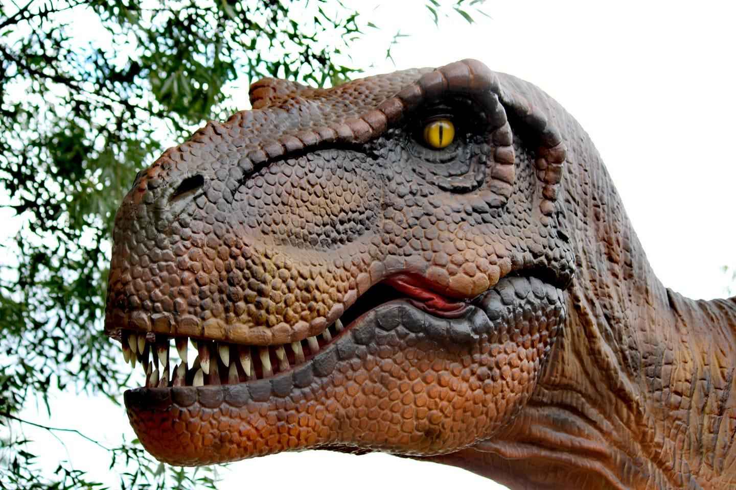 Lincolnshire : Billet d'Entrée pour le Parc Animalier et Dinosaurien ARK