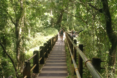 From Gili Trawangan: Waterfalls and Traditional Village Tour