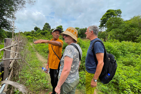 Phnom Penh: Kampot and Kep Day Trip with Lunch