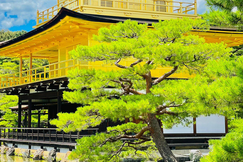 Kyoto Private Tour with English Guide & Pickup (Osaka-Kyoto)