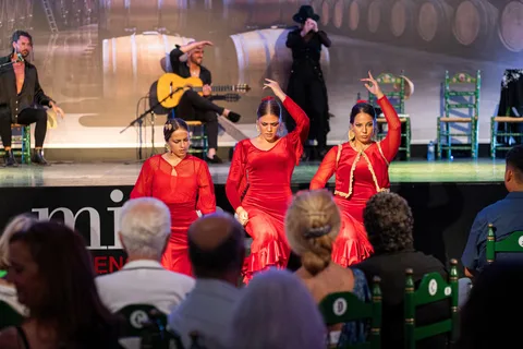 Estepona: Andalusisch toegangsbewijs Flamencoshow met drankje