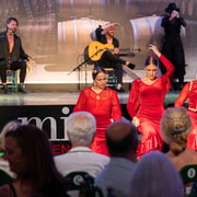 Estepona: Eintrittskarte für die andalusische Flamenco-Show mit Getränk