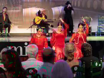 Estepona: inngangsbillett til andalusisk flamencoshow med drikke