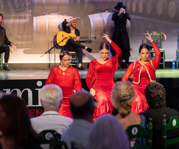 Estepona: Entrada Espectáculo Flamenco Andaluz con Bebida