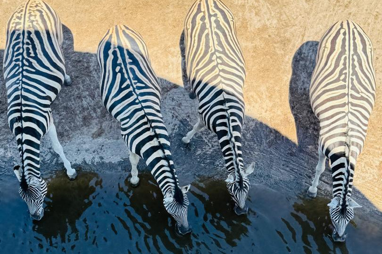 Chobe Safari from Victoria Falls: Game Drive & Cruise