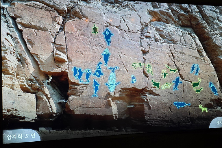 Ulsan: Bangudae Petroglyphs, Onggi Village & Park Tour