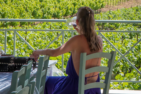 Rhodes: Filerimos & Valley of the Butterflies & Wine Tasting Tour With Pick up From FALIRAKI & KALLITHEA