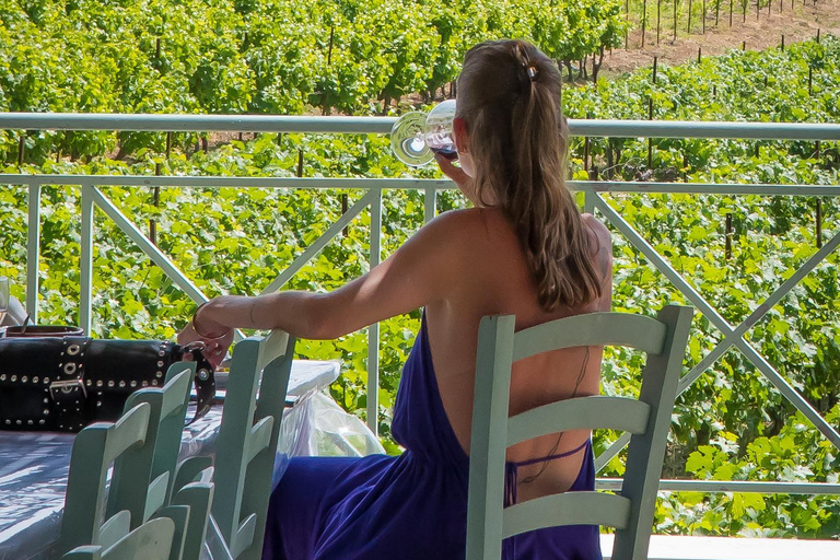 Rhodes: Filerimos & Valley of the Butterflies & Wine Tasting Tour With Pick up From FALIRAKI & KALLITHEA