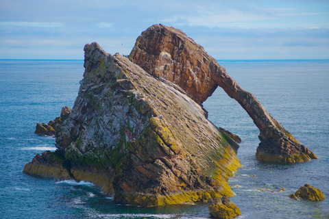 Inverness: Whisky, Wildlife, and Beaches Day Tour