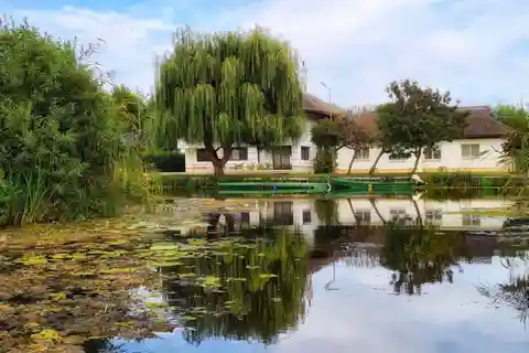 Fra Bukarest: Donaudeltaets private dagsudflugt med bådtur