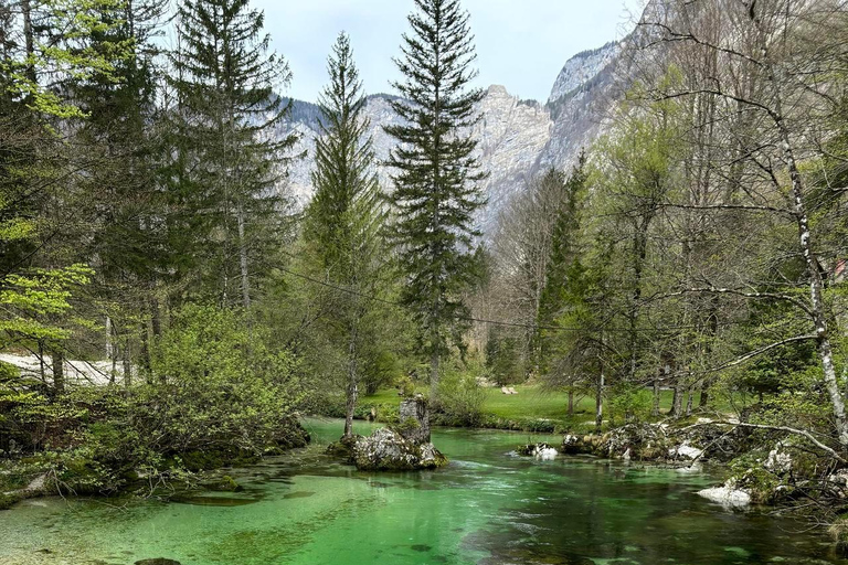 Une excursion d&#039;une journée au départ de Ljubljana : La nature magique et le lac BohinjVisite privée en espagnol