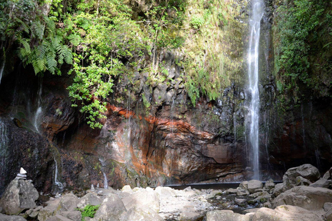 Rabacal Nature Walk: Lakes & Fountains Pickup Funchal, Calheta, Ribeira Brava