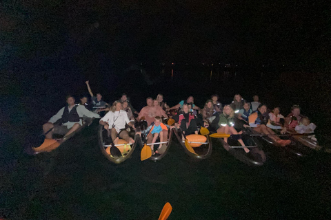 Vieques: Bioluminescent Bay Kayak Night Tour with Guide